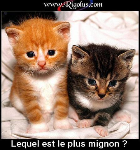 il son cro mignon !!!!