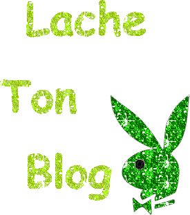 lache ton blog!!!!!